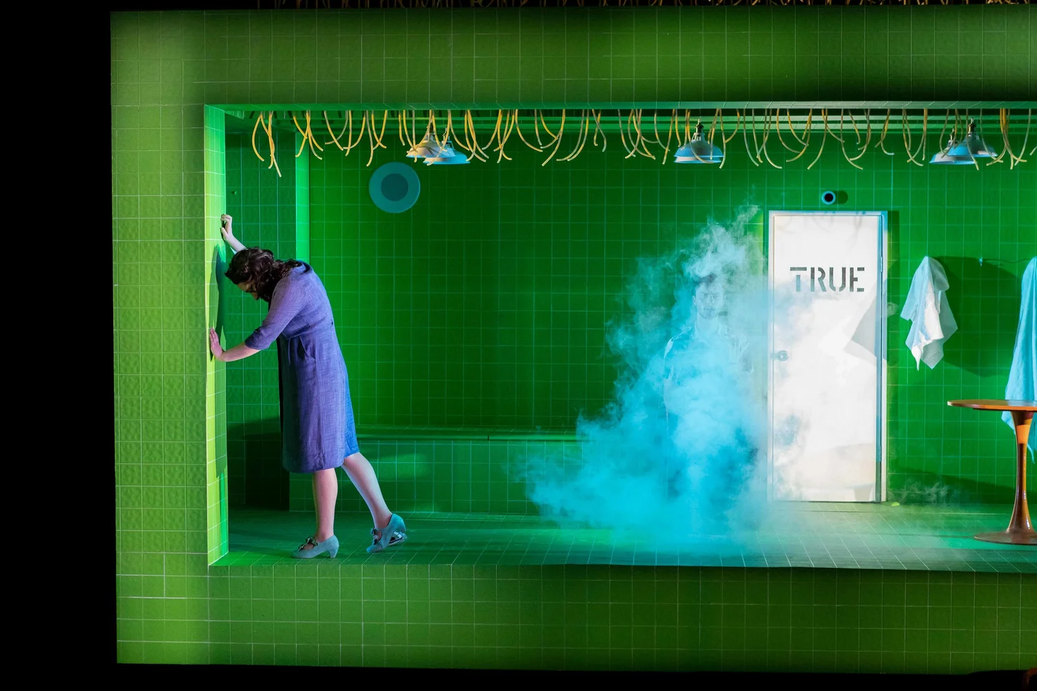 The Danube — production photo